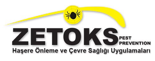 Zetoks